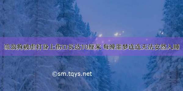 流浪狗被虐打身上伤口长达10厘米 每晚噩梦连连无法安然入睡