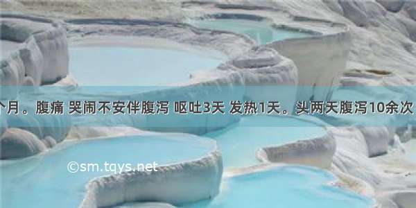 男性 10个月。腹痛 哭闹不安伴腹泻 呕吐3天 发热1天。头两天腹泻10余次／日 为黏