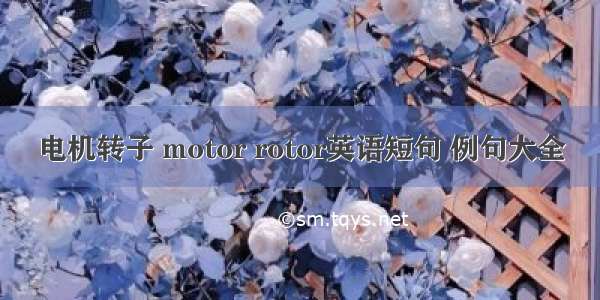 电机转子 motor rotor英语短句 例句大全