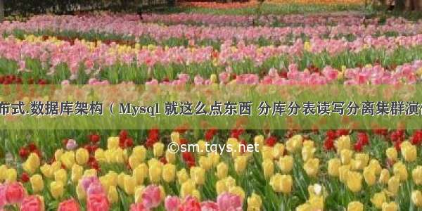 分布式.数据库架构（Mysql 就这么点东西 分库分表读写分离集群演化）