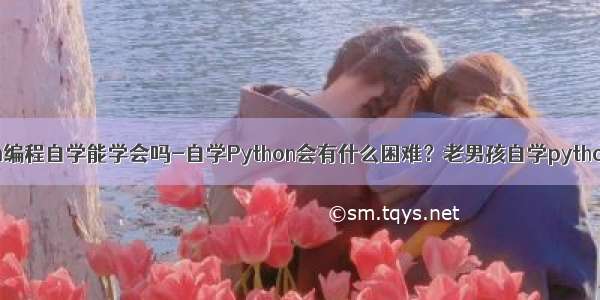 python编程自学能学会吗-自学Python会有什么困难？老男孩自学python编程