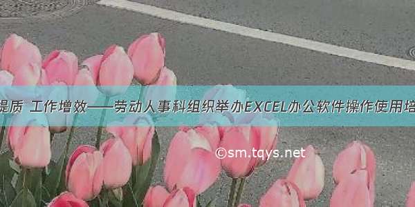 办公提质 工作增效——劳动人事科组织举办EXCEL办公软件操作使用培训班