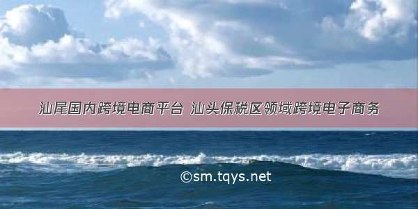 汕尾国内跨境电商平台 汕头保税区领域跨境电子商务