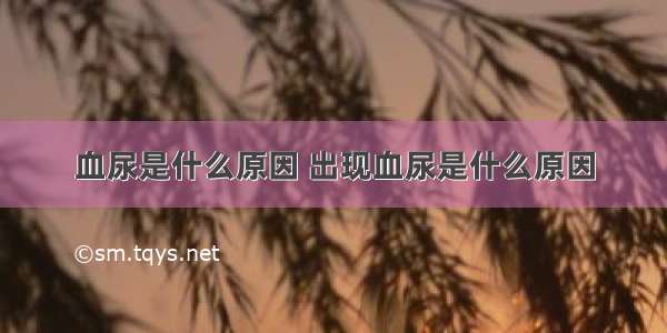 血尿是什么原因 出现血尿是什么原因