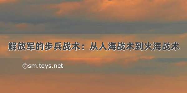 解放军的步兵战术：从人海战术到火海战术