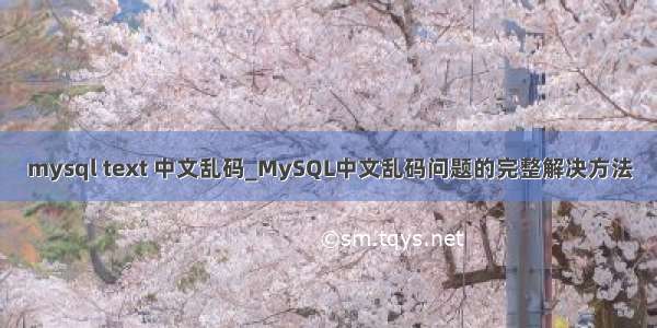mysql text 中文乱码_MySQL中文乱码问题的完整解决方法