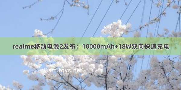 realme移动电源2发布：10000mAh+18W双向快速充电