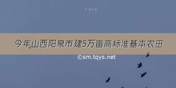 今年山西阳泉市建5万亩高标准基本农田