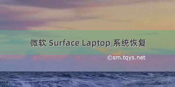 微软 Surface Laptop 系统恢复