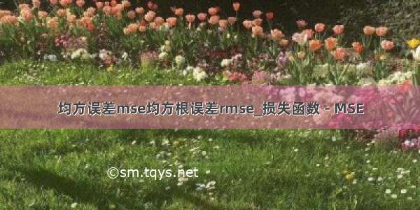 均方误差mse均方根误差rmse_损失函数 - MSE