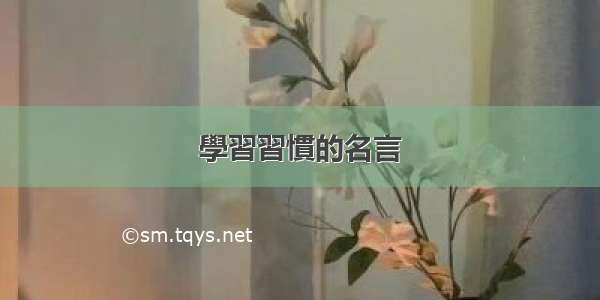 學習習慣的名言