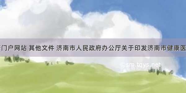 济南市政府门户网站 其他文件 济南市人民政府办公厅关于印发济南市健康医疗大数据应