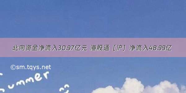 北向资金净流入30.97亿元 港股通（沪）净流入48.99亿