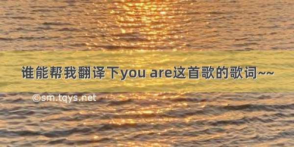 谁能帮我翻译下you are这首歌的歌词~~