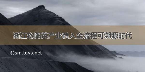 浙江松阳茶产业跨入全流程可溯源时代