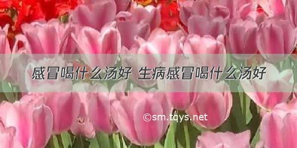 感冒喝什么汤好 生病感冒喝什么汤好