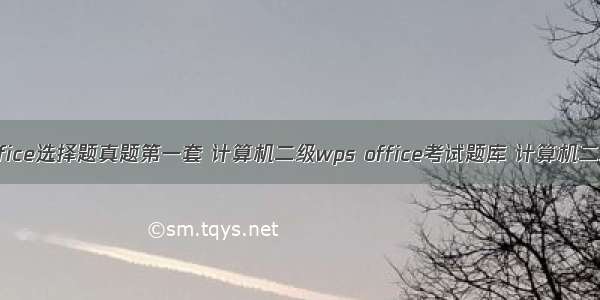 计算机二级WPS Office选择题真题第一套 计算机二级wps office考试题库 计算机二级wps office题库