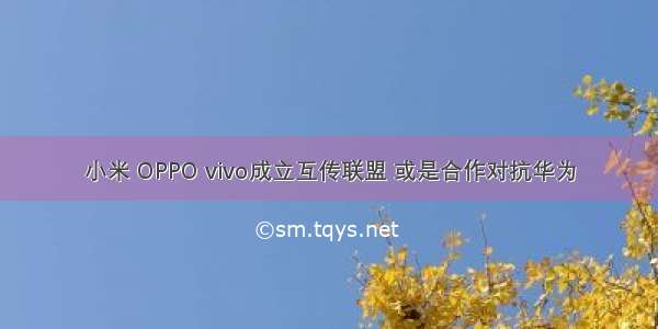 小米 OPPO vivo成立互传联盟 或是合作对抗华为