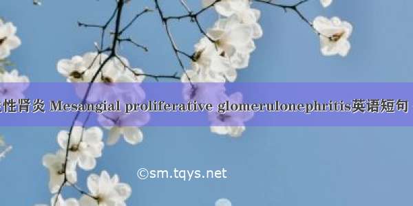 系膜增生性肾炎 Mesangial proliferative glomerulonephritis英语短句 例句大全