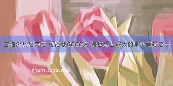 它造价14亿美元 可搭载8000人 是世界上最大的豪华邮轮之一