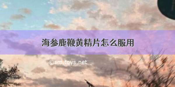 海参鹿鞭黄精片怎么服用