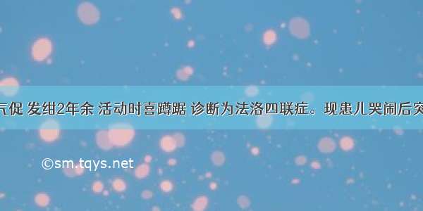 3岁患儿 气促 发绀2年余 活动时喜蹲踞 诊断为法洛四联症。现患儿哭闹后突然出现呼