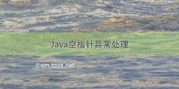 Java空指针异常处理