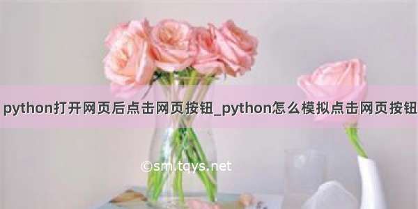 python打开网页后点击网页按钮_python怎么模拟点击网页按钮