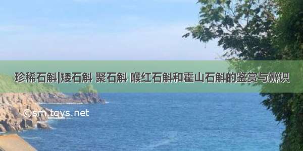 珍稀石斛|矮石斛 聚石斛 喉红石斛和霍山石斛的鉴赏与辨识