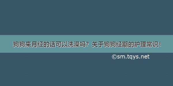 狗狗来月经的话可以洗澡吗？关于狗狗经期的护理常识！