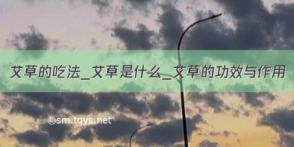 艾草的吃法_艾草是什么_艾草的功效与作用