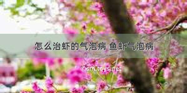 怎么治虾的气泡病 鱼虾气泡病