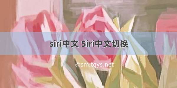 siri中文 Siri中文切换