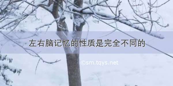 左右脑记忆的性质是完全不同的