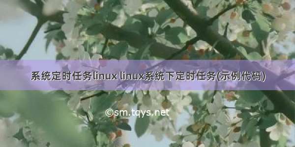 系统定时任务linux linux系统下定时任务(示例代码)