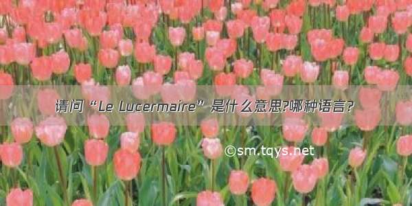 请问“Le Lucermaire”是什么意思?哪种语言?