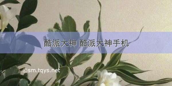 酷派大神 酷派大神手机