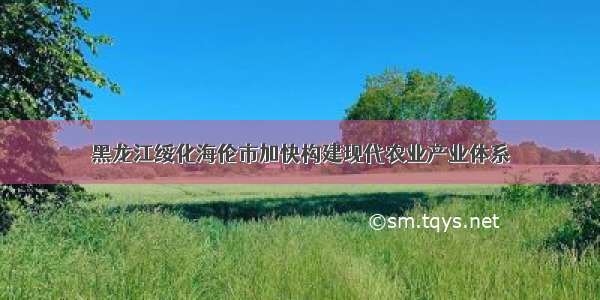 黑龙江绥化海伦市加快构建现代农业产业体系