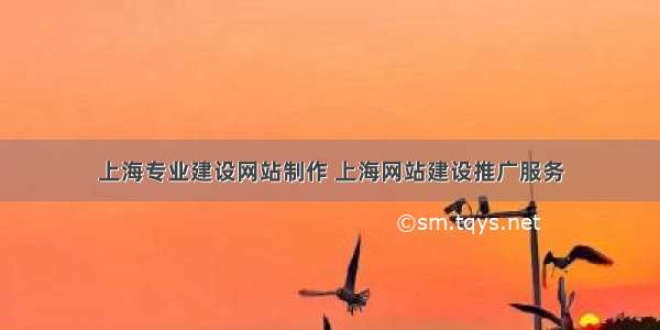 上海专业建设网站制作 上海网站建设推广服务