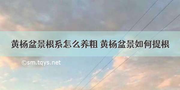 黄杨盆景根系怎么养粗 黄杨盆景如何提根