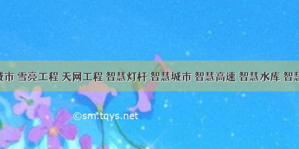 平安城市 雪亮工程 天网工程 智慧灯杆 智慧城市 智慧高速 智慧水库 智慧医院 