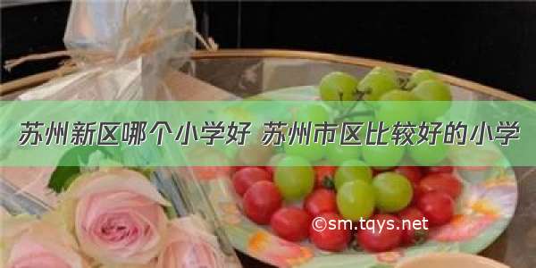 苏州新区哪个小学好 苏州市区比较好的小学