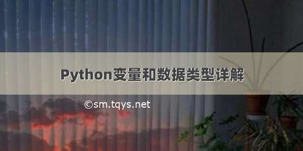 Python变量和数据类型详解