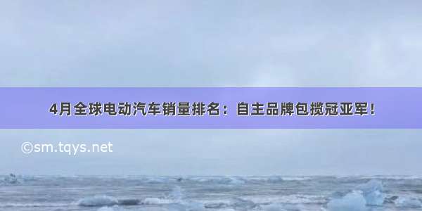 4月全球电动汽车销量排名：自主品牌包揽冠亚军！