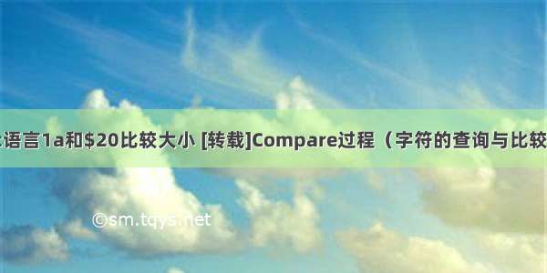 c语言1a和$20比较大小 [转载]Compare过程（字符的查询与比较）