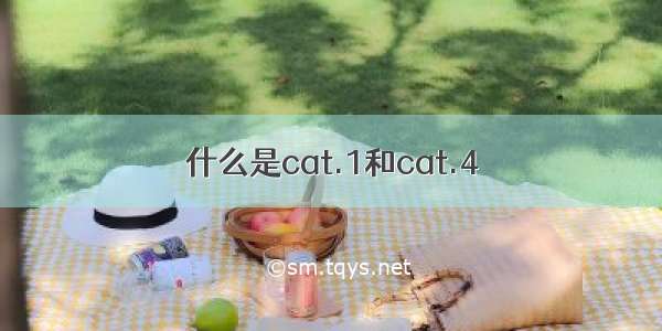 什么是cat.1和cat.4