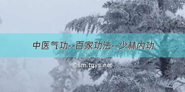 中医气功--百家功法--少林内功