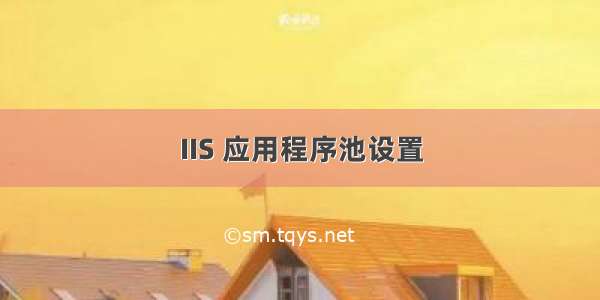 IIS 应用程序池设置