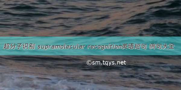 超分子识别 supramolecular recognition英语短句 例句大全