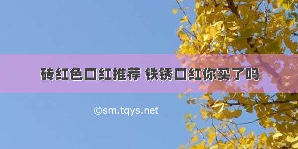 砖红色口红推荐 铁锈口红你买了吗